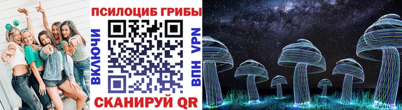 Галлюциногенные грибы Cubensis  Купить  Шимановск 