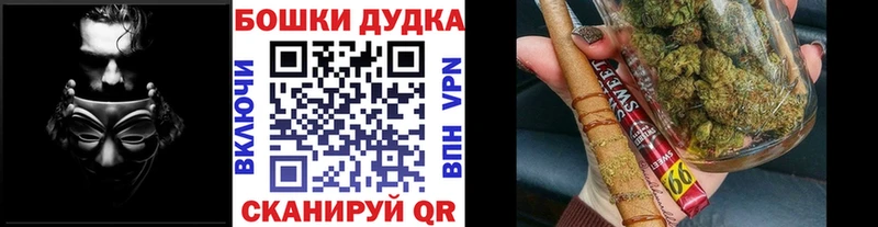 Конопля план  Купить закладки  Шимановск 